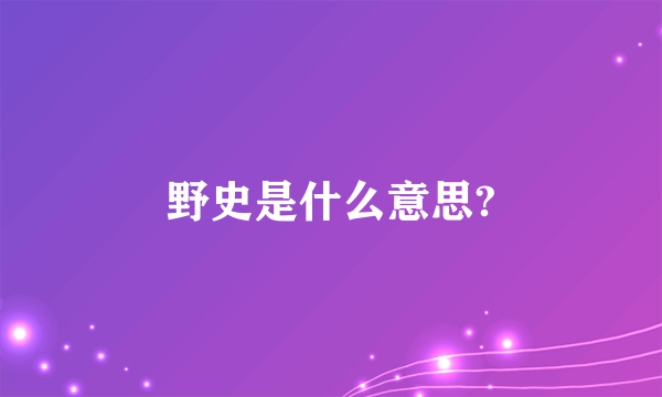 野史是什么意思?