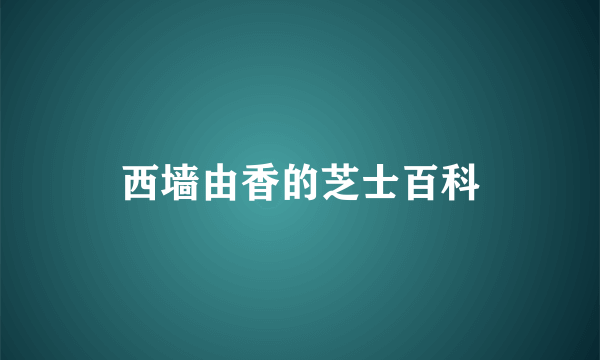 西墙由香的芝士百科