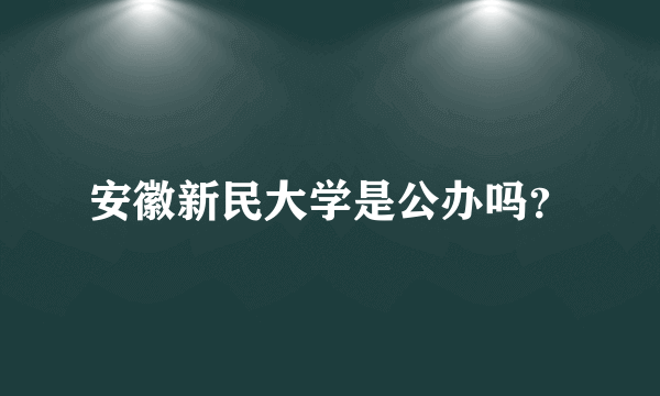 安徽新民大学是公办吗？