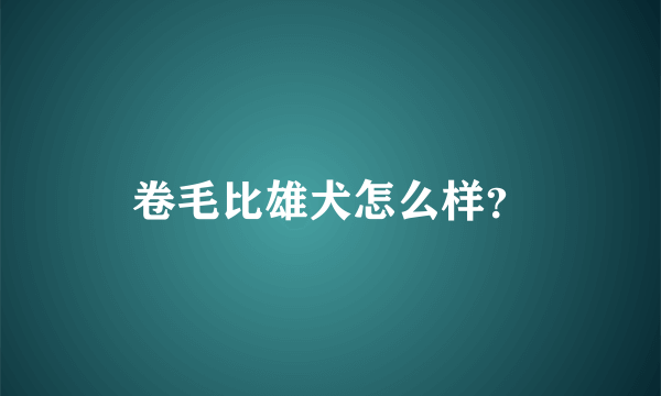 卷毛比雄犬怎么样？