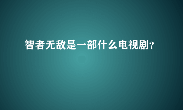 智者无敌是一部什么电视剧？