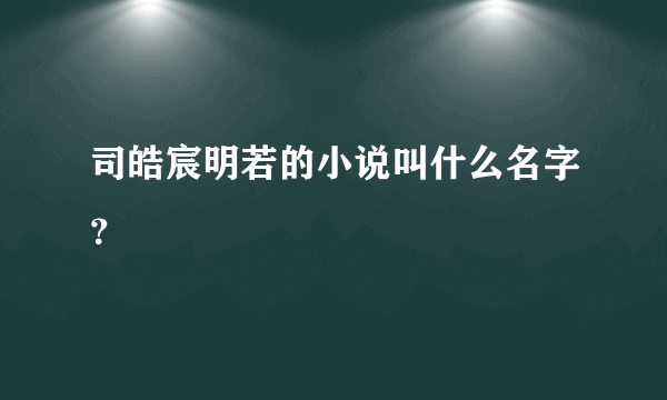 司皓宸明若的小说叫什么名字？