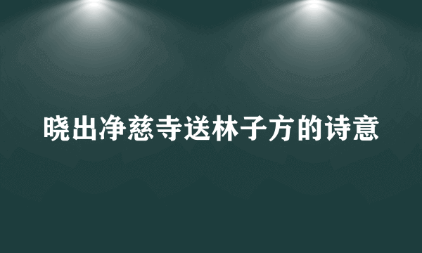 晓出净慈寺送林子方的诗意