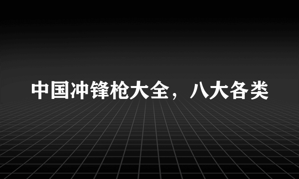 中国冲锋枪大全，八大各类