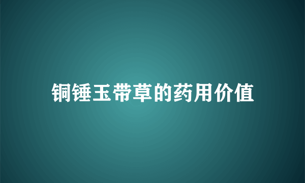 铜锤玉带草的药用价值