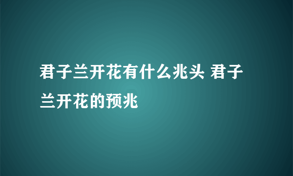 君子兰开花有什么兆头 君子兰开花的预兆