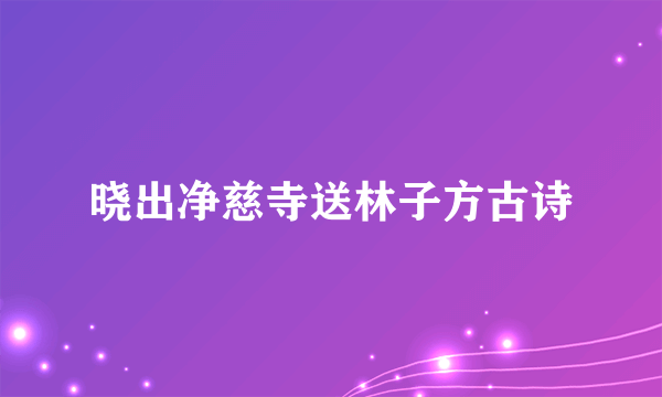 晓出净慈寺送林子方古诗