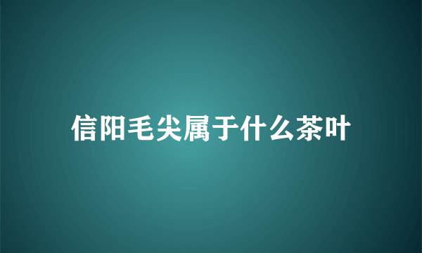 信阳毛尖属于什么茶叶