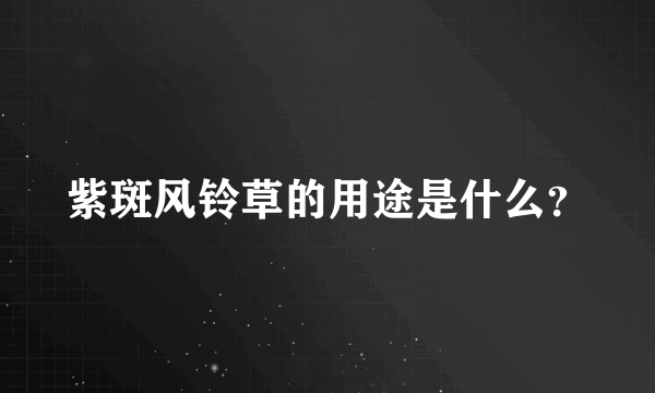 紫斑风铃草的用途是什么？