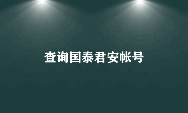 查询国泰君安帐号