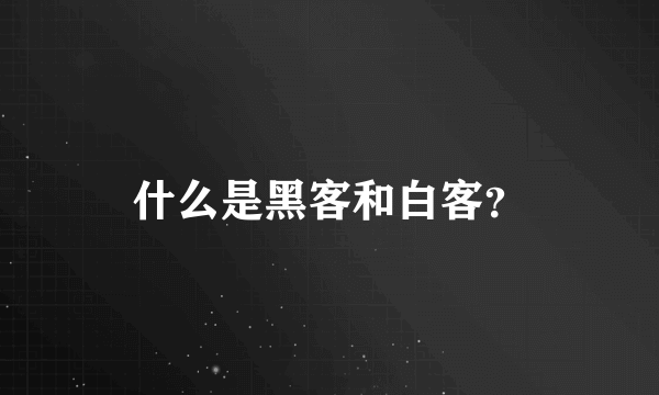 什么是黑客和白客？