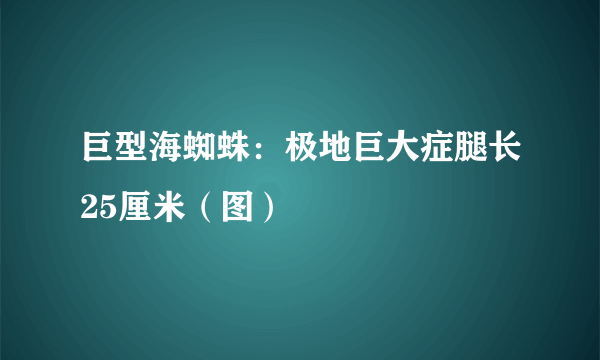 巨型海蜘蛛：极地巨大症腿长25厘米（图）