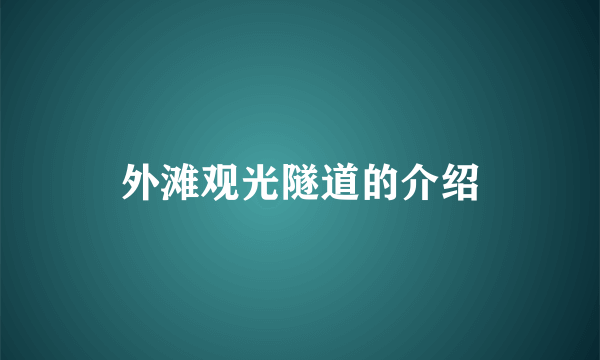 外滩观光隧道的介绍