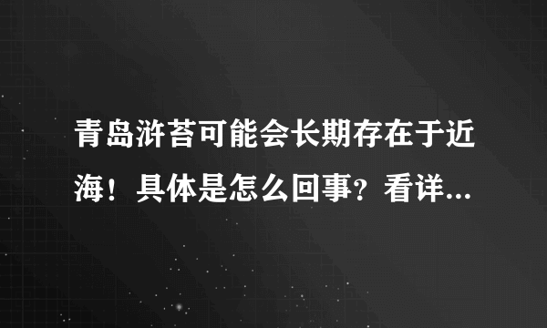 青岛浒苔可能会长期存在于近海！具体是怎么回事？看详细原因！