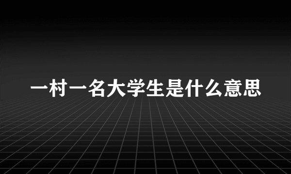 一村一名大学生是什么意思