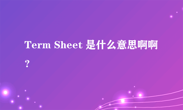 Term Sheet 是什么意思啊啊？