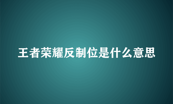 王者荣耀反制位是什么意思