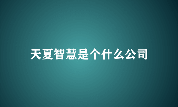 天夏智慧是个什么公司