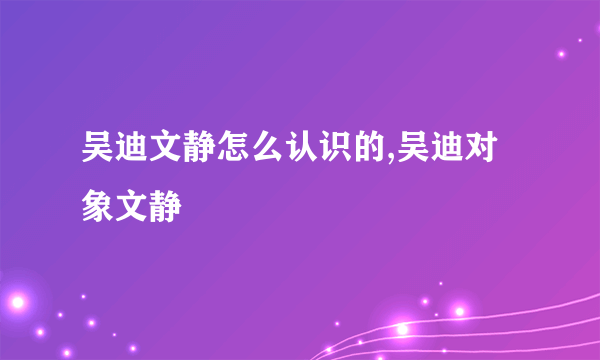 吴迪文静怎么认识的,吴迪对象文静