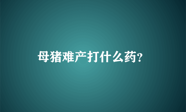 母猪难产打什么药？