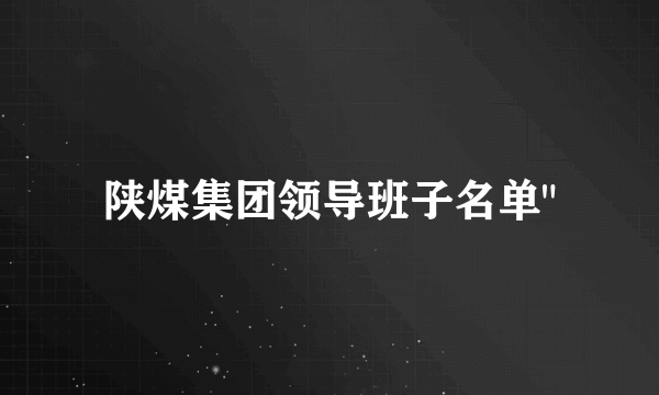 陕煤集团领导班子名单