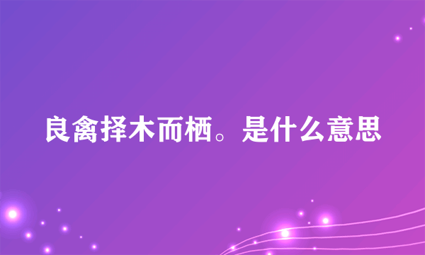 良禽择木而栖。是什么意思