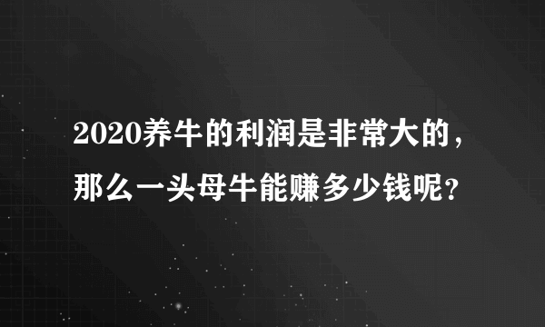 2020养牛的利润是非常大的，那么一头母牛能赚多少钱呢？