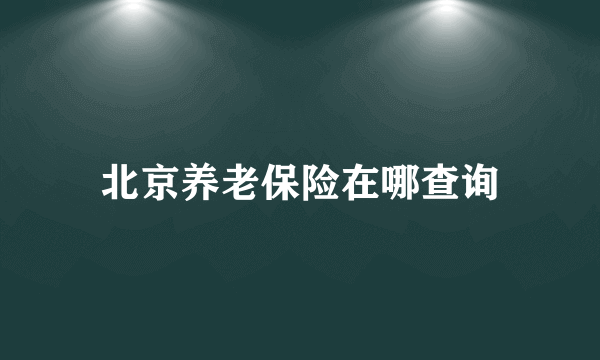 北京养老保险在哪查询