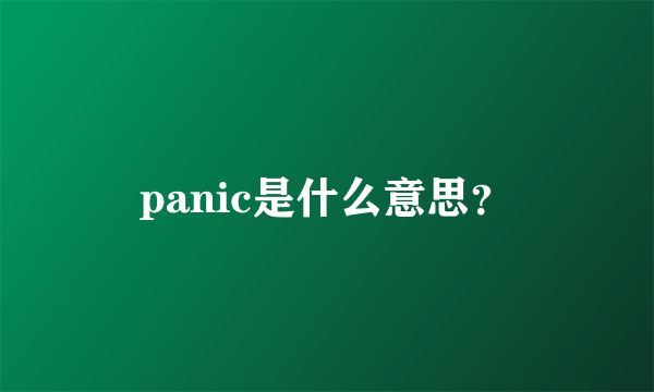 panic是什么意思？