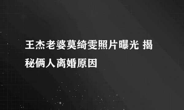 王杰老婆莫绮雯照片曝光 揭秘俩人离婚原因