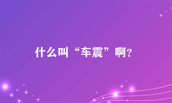 什么叫“车震”啊？