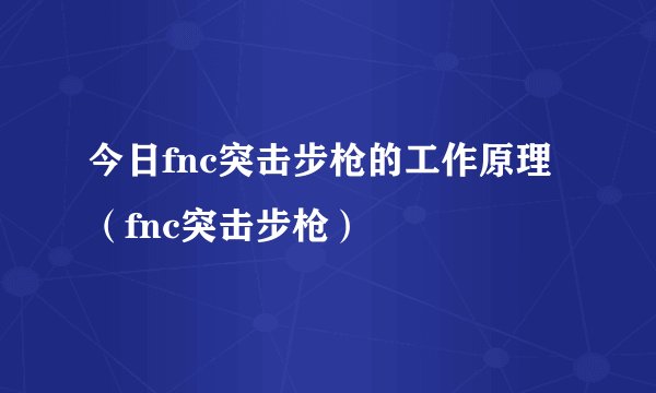 今日fnc突击步枪的工作原理（fnc突击步枪）