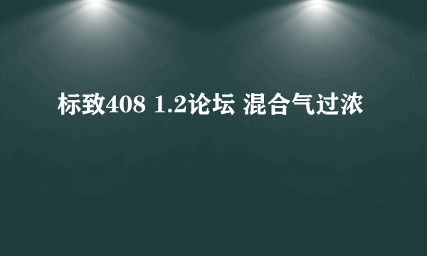 标致408 1.2论坛 混合气过浓