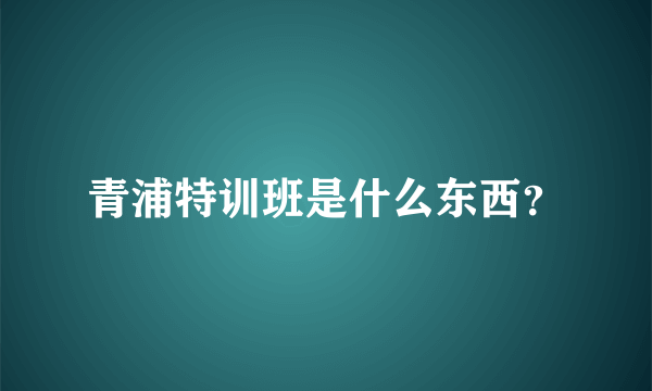 青浦特训班是什么东西？