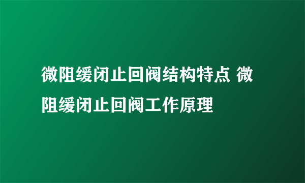 微阻缓闭止回阀结构特点 微阻缓闭止回阀工作原理