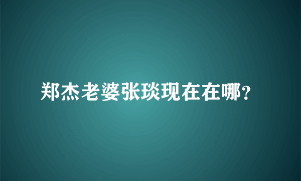 郑杰老婆张琰现在在哪？