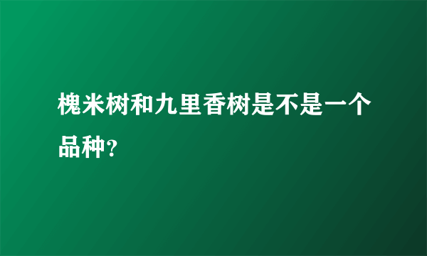 槐米树和九里香树是不是一个品种？