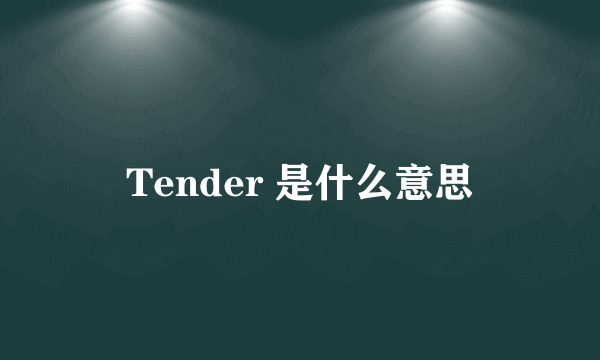 Tender 是什么意思