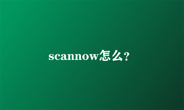 scannow怎么？