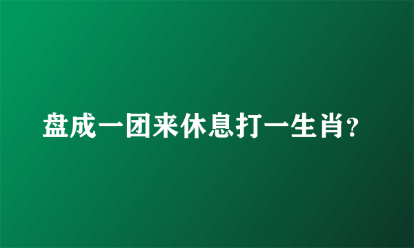 盘成一团来休息打一生肖？