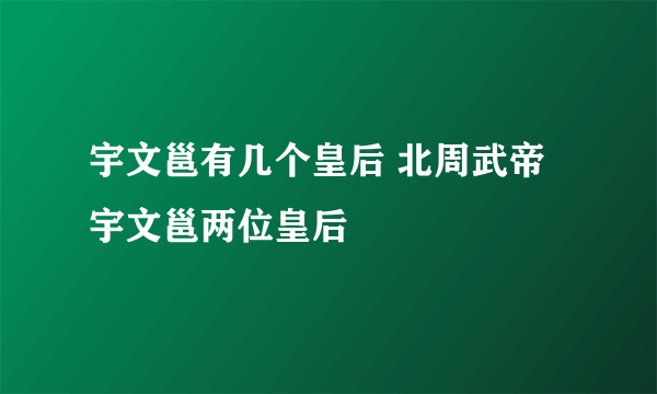 宇文邕有几个皇后 北周武帝宇文邕两位皇后