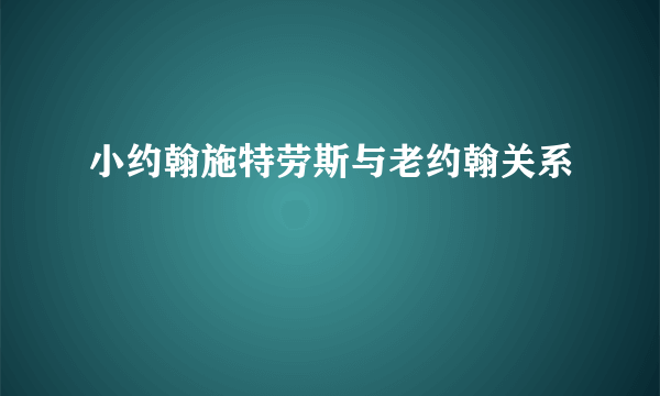 小约翰施特劳斯与老约翰关系