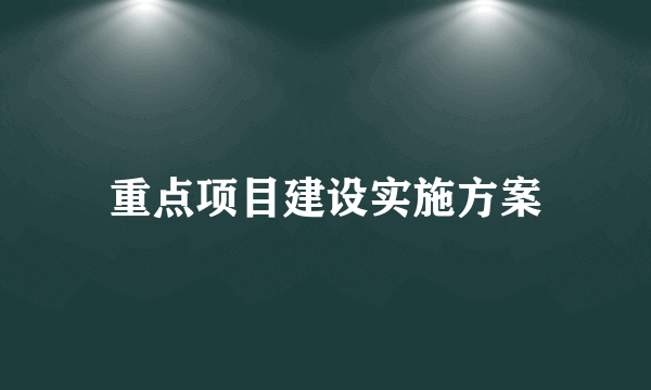 重点项目建设实施方案