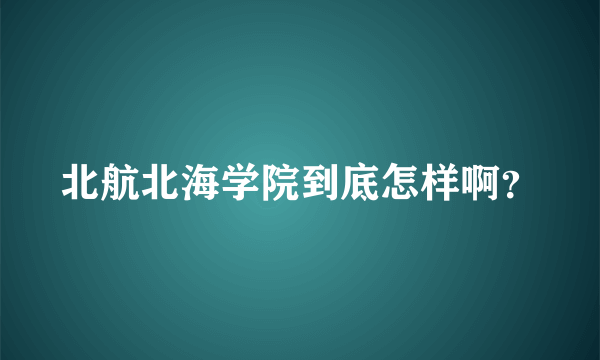 北航北海学院到底怎样啊？