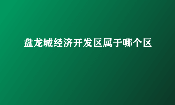 盘龙城经济开发区属于哪个区