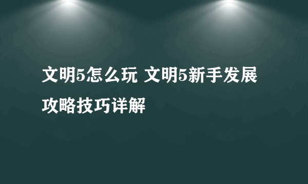 文明5怎么玩 文明5新手发展攻略技巧详解