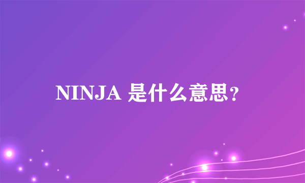 NINJA 是什么意思？