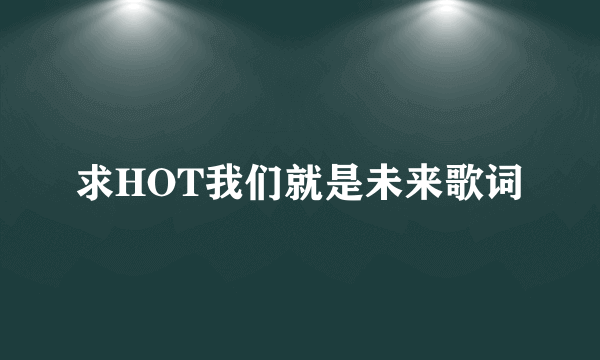 求HOT我们就是未来歌词