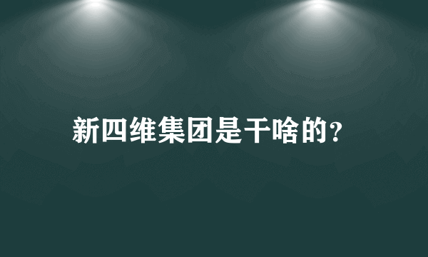 新四维集团是干啥的？