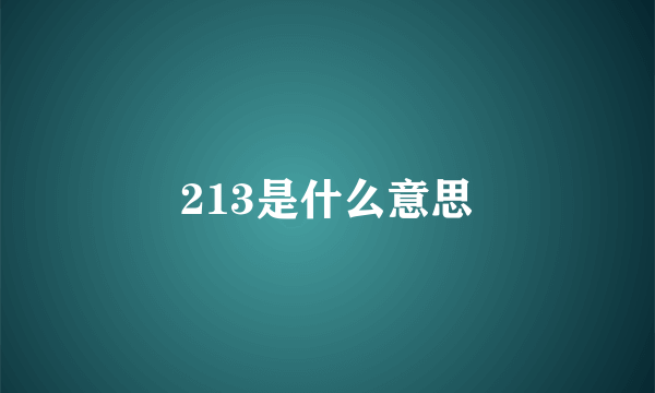 213是什么意思